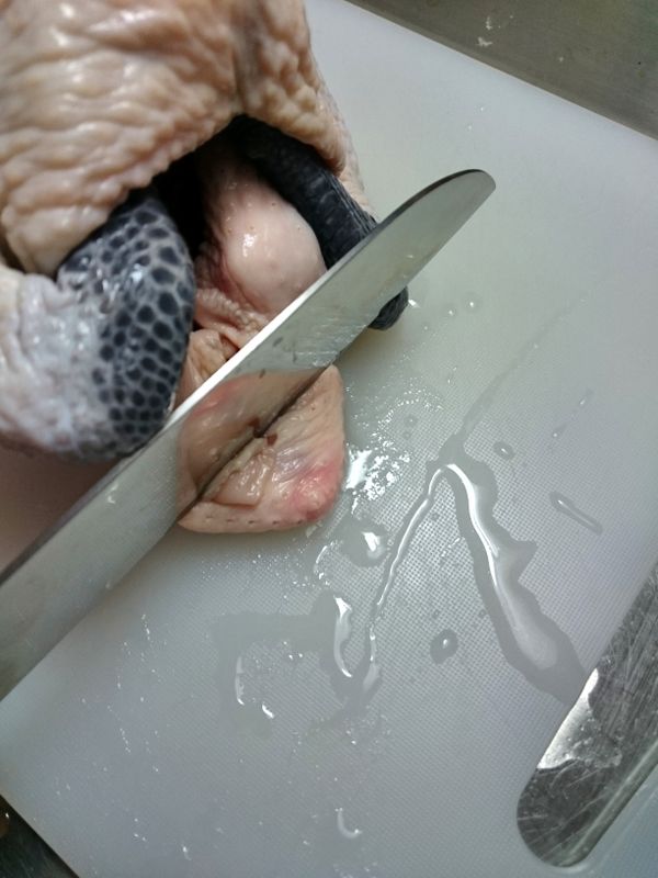 將雞內外清洗乾淨擦乾，切掉雞屁股