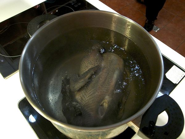 備一個鍋子煮水，將小烏骨雞川燙去血水，備用。