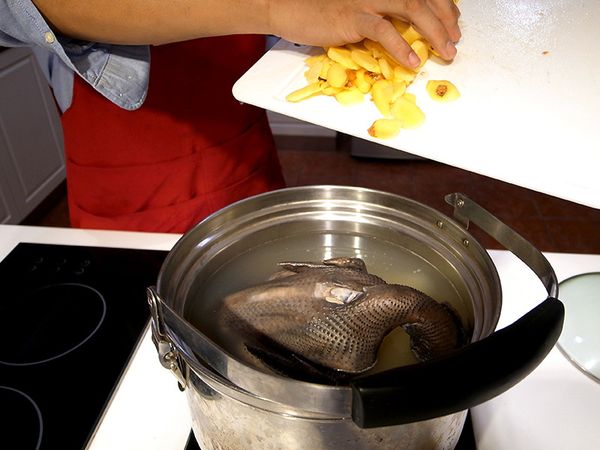 燒開一鍋水放入土雞高湯(水+高湯大約是雞肉的1.5倍左右)，放入川燙過的小烏骨雞、蒜頭、薑片，燉煮約半小時。