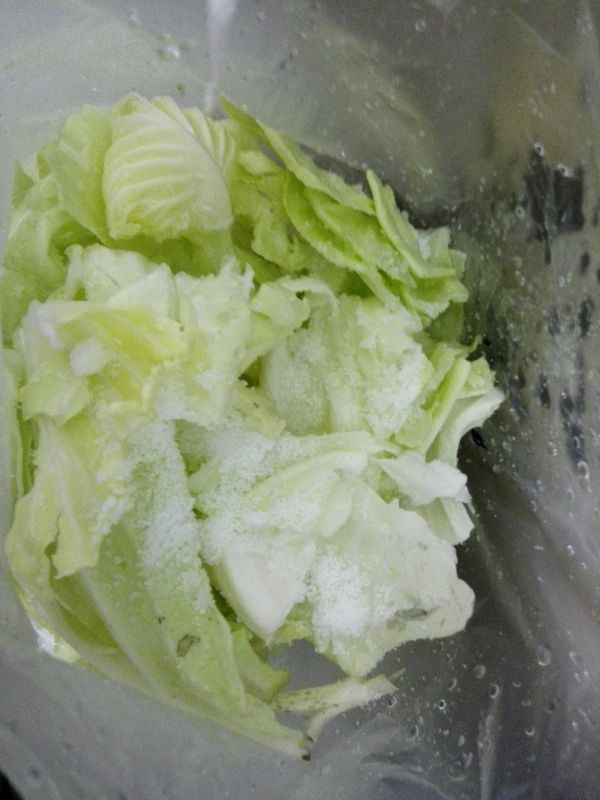 再加入些許鹽巴 輕輕的搖個三分鐘
就可以放置旁邊等待高麗菜出水