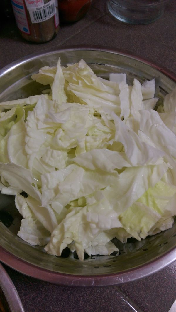 白菜用手撕或者刀切開小塊狀，把白菜梗鋪在碟子下層，葉的部分鋪在上面