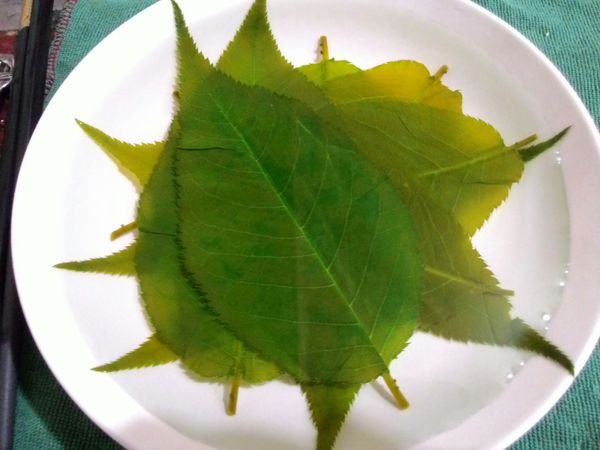 鹽漬櫻葉一片片攤開，泡水約30分鐘，將水份瀝乾