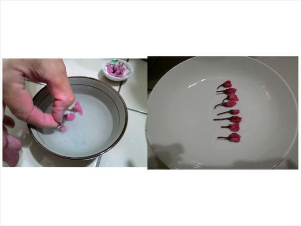 接著處理鹽漬櫻花，稍微泡水，即可拿起