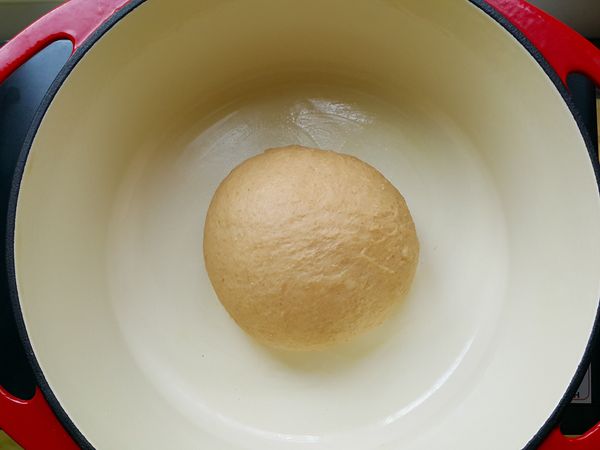 步驟3揉成團後靜置發酵約1小時