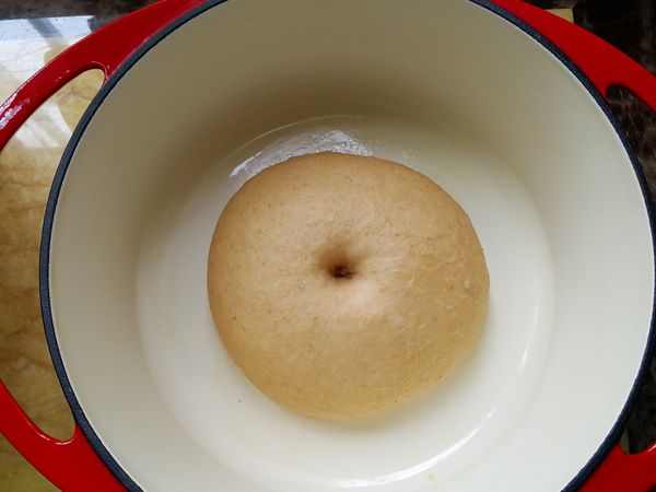 手指頭直接從麵糰頂端插入一個洞後陷下去不會回彈表示第一次發酵完成