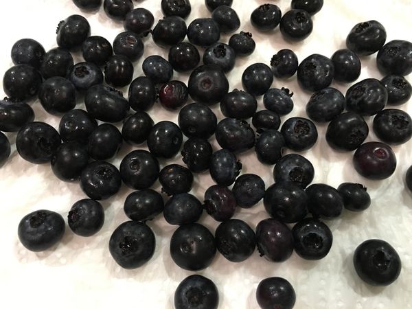 藍莓洗淨後，用餐巾紙吸乾水分。