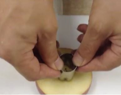 用圓型壓模去掉蘋果芯。