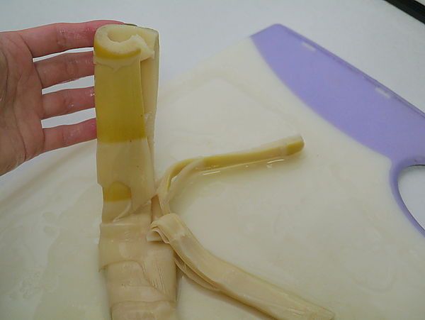 桂竹筍沖洗乾淨後切掉纖維較粗的部分，再切成長段（或用手撕）備用。