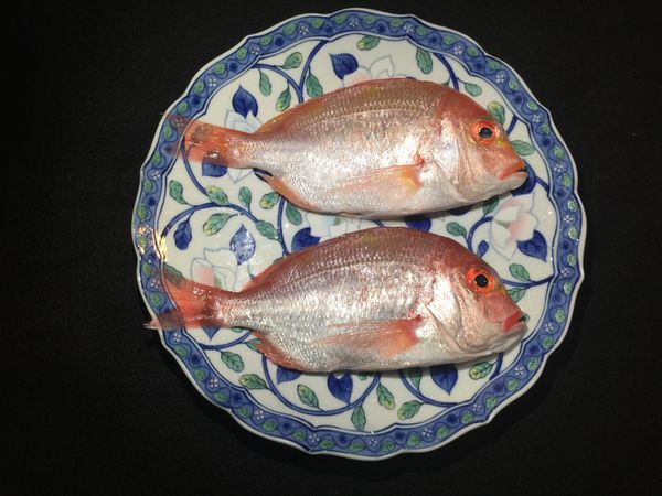 新鮮海釣赤鯮，要煮前先用開水冲一下，然後用廚房紙巾擦乾備用。