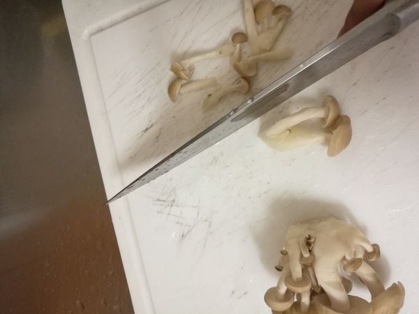 切香菇