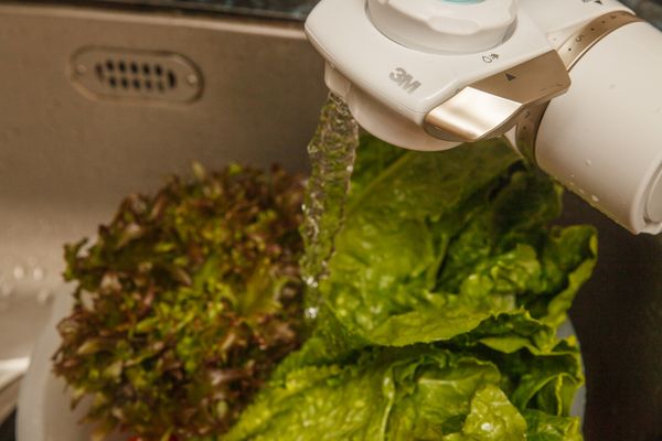 將生菜與番茄用3M濾水器濾過的水浸泡洗淨。