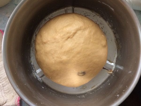 麵團揉完，攪拌盆蓋上濕布發酵1小時至兩倍大