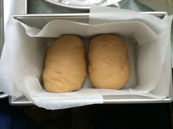 鬆弛完，分別把兩個小圓球桿開桿平再捲起來，放入已用烘焙紙為底的吐司模裡，用耐高溫保鮮膜或濕布蓋住