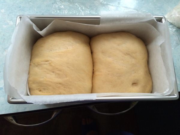 放入烤箱，開啟發酵功能發酵60分鐘（用一根手指按麵團沒有回彈即是發酵好了）