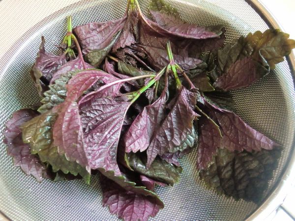 洗淨並擦乾水份備用