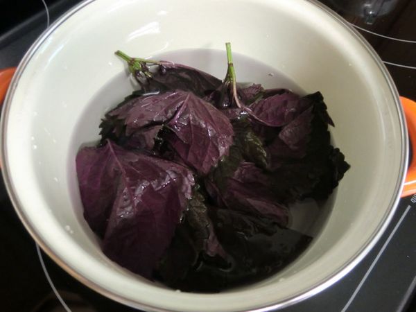 將洗淨的紫蘇葉放入鍋中，加入適量清水蓋過葉片。