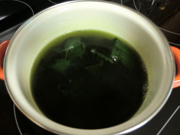 可將煮好的紫蘇茶加入蜂蜜或冰糖調味。