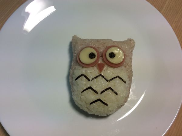 白飯分成1/4及3/4份，將3/4碗飯用一點點醬汁染色（不要拌的太濕），然後把飯捏成貓頭鷹造型，1/4的白飯放在貓頭鷹的肚子部份捏合，將眼睛黏貼在頭部，再將嘴巴和v字海苔貼在適當位置上即可
