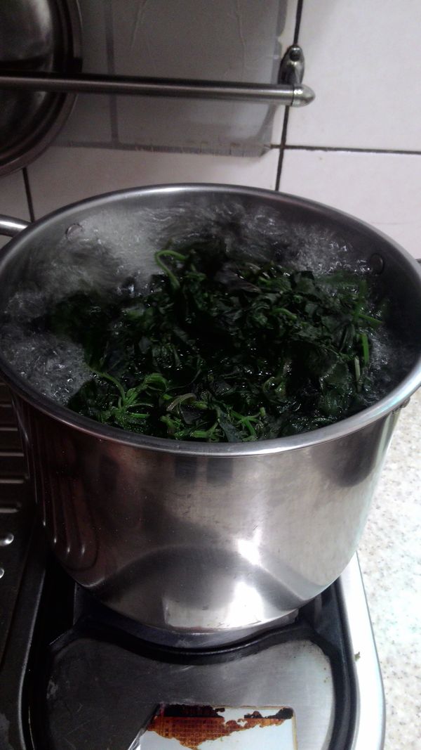 放入紫蘇葉煮滾後，繼續再煮5分鐘。