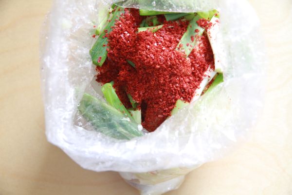 將步驟3材料倒入裝蘿蔔的袋中，加入韓式辣椒粉後收緊袋口，用手輕輕搓揉後放入冰箱冷藏2~3天即可食用。