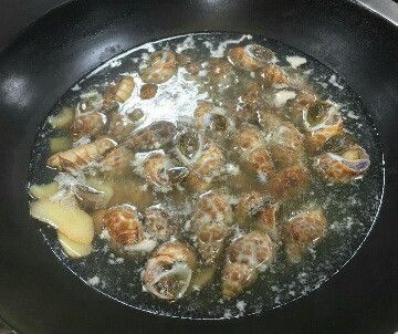 先煮一些水, 放入少許薑片, 酒, 鹽巴, 滾後放入鳳螺, 立刻轉小火去煮約5分鐘
( 要小火浸熟, 不可大火去煮肉質會變韌)