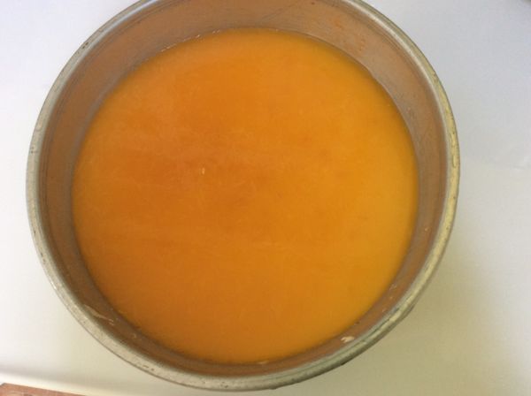 拿出後，將剩餘的柳丁汁淋上去，再放回冰箱冰3～4小時