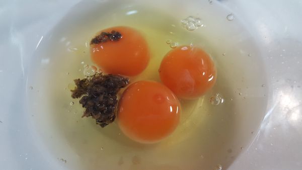 松露醬放入蛋液中