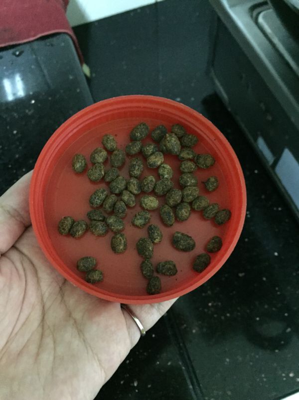加入適量豆豉拌炒