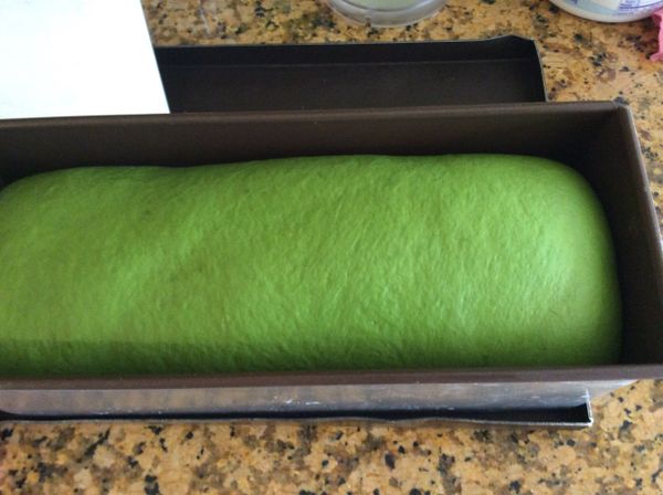 發至9分滿，可以進烤箱烤焙了，帶蓋或不帶蓋均可。350°F烤約30-35分鐘。