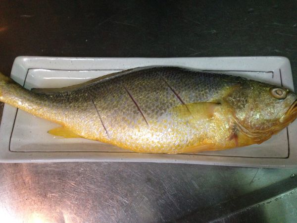 1.黃魚洗淨後在兩面劃幾刀
2.在魚兩面抹上高樑及海鹽
3.封上保鮮膜放冰箱冷藏