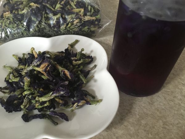 將蝶豆花用溫水沖泡15～30分鐘（因為要加入白色麵糊裡，蝶豆花水要泡濃一點喔）。