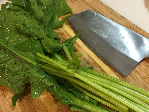菠菜切段。