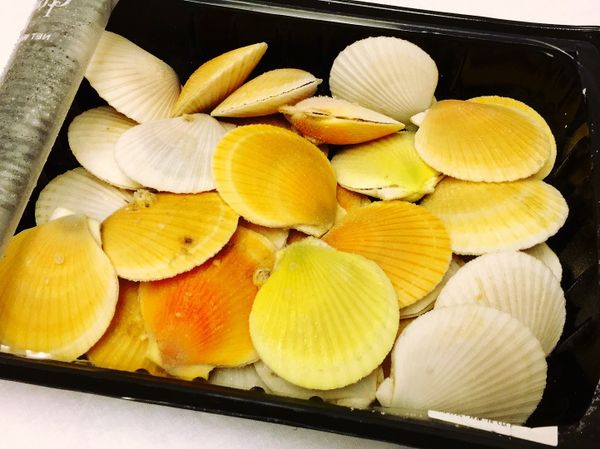 來自純淨的紐西蘭扇貝，顏色好夢幻
放入電鍋或蒸籠隔水加熱約8-10分鐘