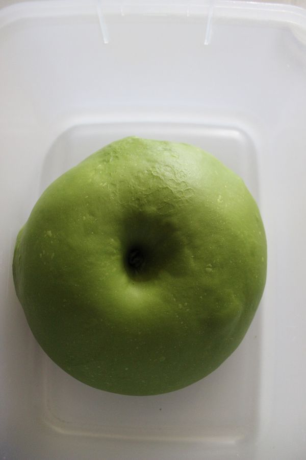 28度發酵一小時至兩倍大~手搓不回彈