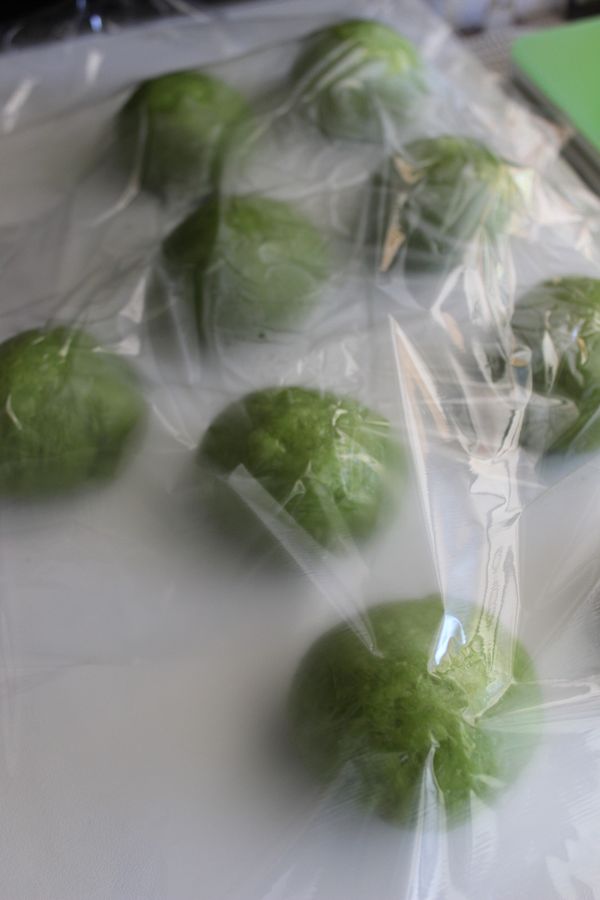 分成9份~每個約65-67克休息15分鐘