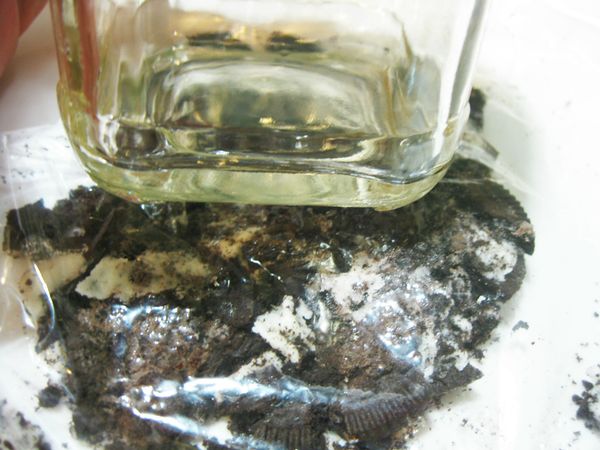 OREO餅乾連同夾心敲碎後加入1.