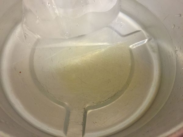 將吉利丁片放入冰水中融化