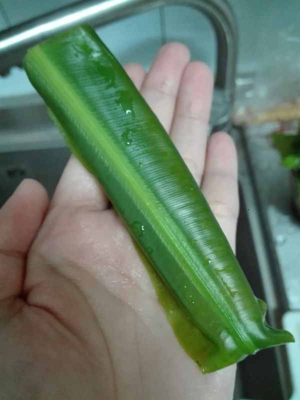 可拿個小刷子或牙刷輕輕刷掉