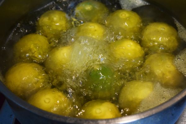 將水煮開，煮開後倒掉，然後倒入冷開水之後每6-8小時，更替冷開水