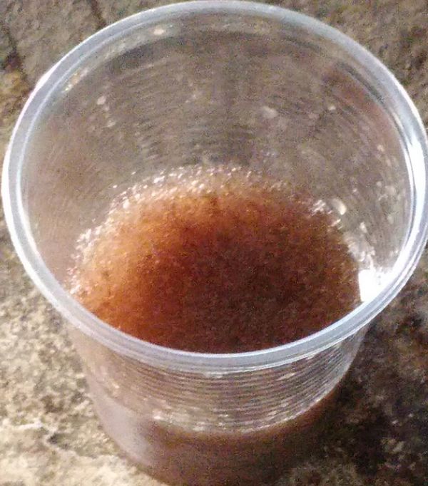 這個就是成功的木耳很稠歐!!
外面飲料店泡的比例是飲料:木耳露=2:1