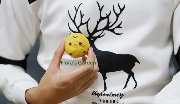 核桃香脆、麵包柔軟還有南瓜的自然甜味~極好吃，可以畫成小雞造型超Q的。