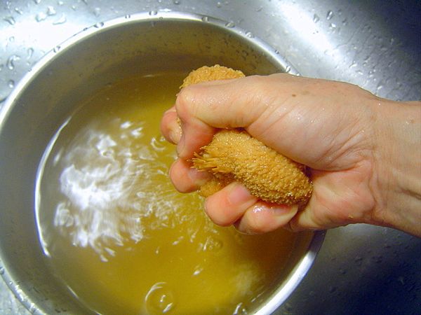 前置作業:猴頭菇泡軟後(約30分鐘)擠乾水分