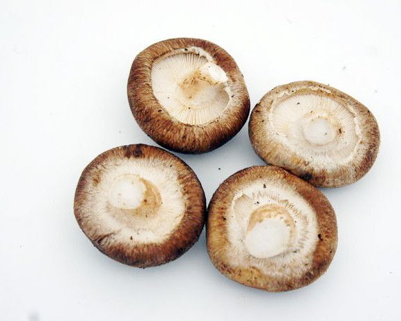 將生香菇、洋蔥、蔥切末，備用。