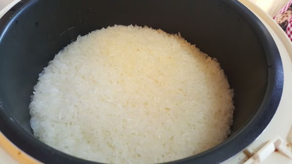 按動電飯煲將糯米煲熟。