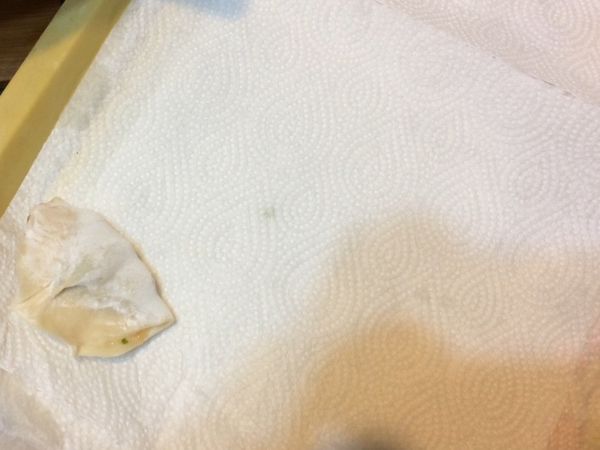 水餃做好便可放入熱水中燙熟