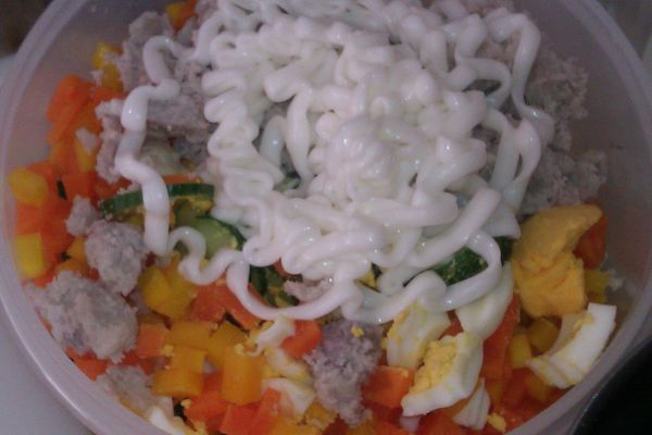 將一條原味有機沙拉全部擠入沙拉盆中攪拌均勻