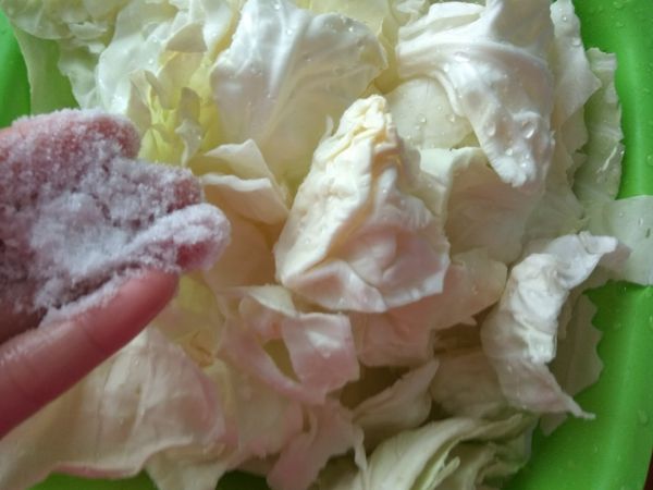 先將高麗菜切去根部，再以手撕的方式將高麗菜撕為適口大小，沖洗乾淨之後，瀝去水份，拌上一小把的鹽巴，靜置一小時，這個時間內，偶爾要揉拌一下，讓高麗菜殺青，不但可以去澀水，還能加速高麗菜發酵變酸。