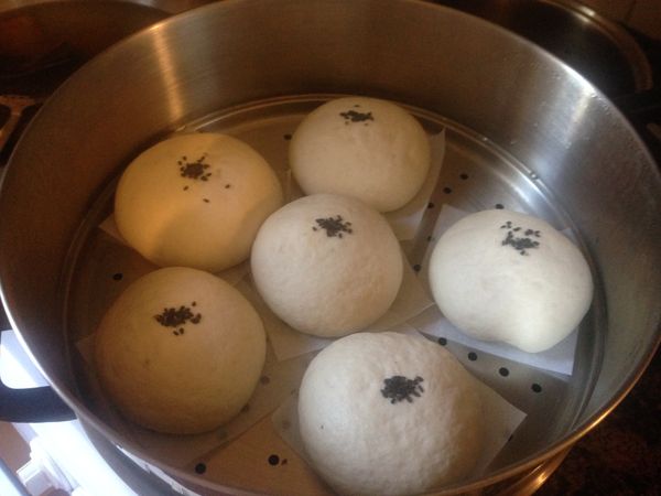 二十分鐘以後打開蓋子，已經發的很好了，上面放上點芝麻裝飾如圖。就可以開火，最大火，等下面的水開了以後，放上屜籠，12分鐘以後，白胖胖的芝麻大包就蒸好了。