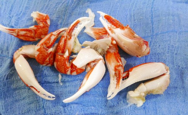 蟹腳洗淨，墊乾淨抹布蓋上再用刀背拍裂(不要拍太碎)