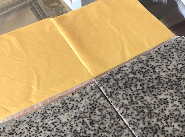 最後加入過篩後的低粉，一開始用刮刀，大概成形後改用手輕輕壓揉成均勻的無粉麵團，放入一個塑膠袋中桿平成長方形或直接桿成長方形